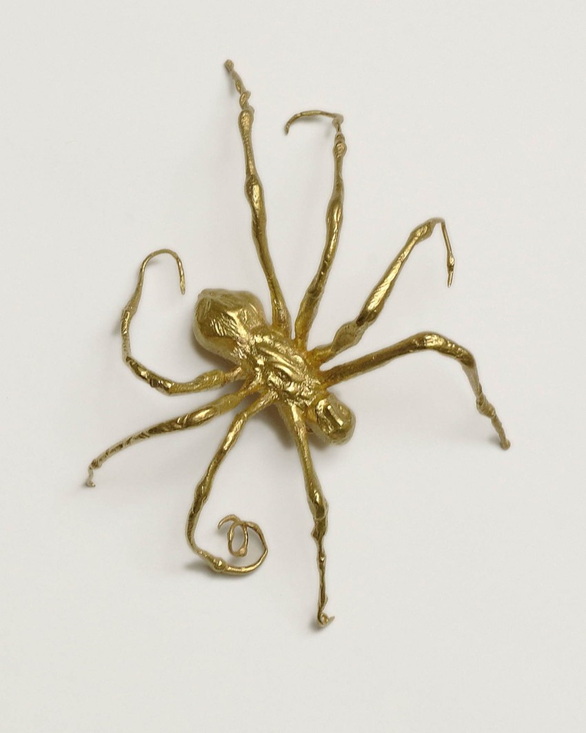 Goldene Spinne auf hellem Hintergrund.