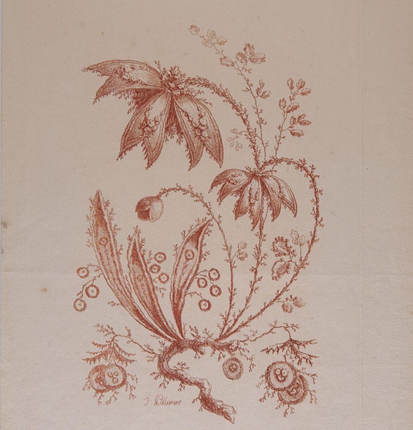 Eine Fantasieblume mit Wurzeln, Blättern, Knospen und Blüten