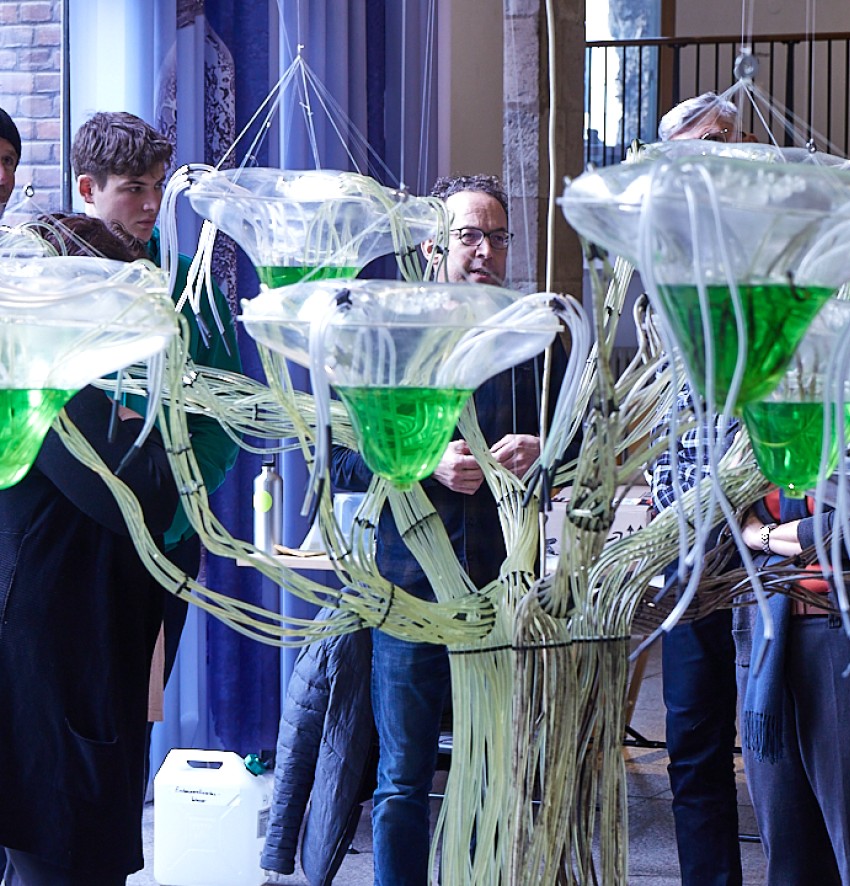 An abstract installation reminiscent of a tree; behind it a group of people looking at it.