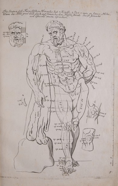 Darstellung der antiken Statue des Herkules Farnese mit genauen Maßangaben der einzelnen Körperteile.UB04929: Herkules Farnese (frontal) aus der Folge „Des Menschlichen Leibes Proportionen / Von den vortrefflichsten und allerschönsten Antichen genommen [...]“ (5)