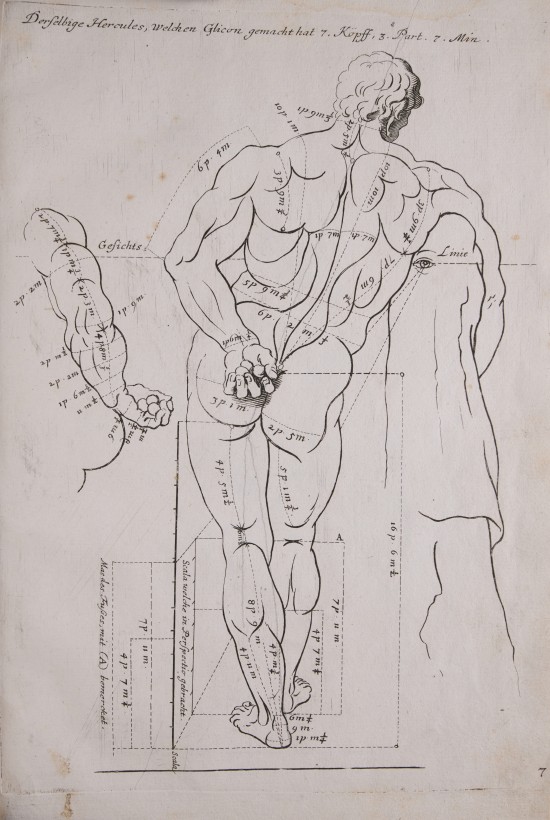 Zeichnung eines unbekleideten, stehenden Mannes von hinten. In seiner Hand, die er hinter dem Rücken hält, befinden sich drei Kugeln. Er ist leicht nach rechts geneigt und stützt sich auf einen angedeuteten Gegenstand. Die Zeichnung ist mit Maßangaben beschriftet.UB04931: Herkules Farnese (von hinten) aus der Folge „Des Menschlichen Leibes Proportionen / Von den vortrefflichsten und allerschönsten Antichen genommen [...] (7)