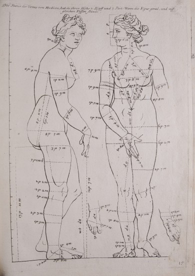 Darstellung der antiken Statue der Venus von Medici mit genauen Maßangaben der einzelnen Körperteile.UB04939: Venus von Medici (frontal und von der Seite) aus der Folge „Des Menschlichen Leibes Proportionen / Von den vortrefflichsten und allerschönsten Antichen genommen [...]" (15)