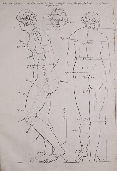 Darstellung der antiken Statue der Venus von Medici mit genauen Maßangaben der einzelnen Körperteile.UB04940: Venus von Medici (von hinten und von der Seite) aus der Folge „Des Menschlichen Leibes Proportionen / Von den vortrefflichsten und allerschönsten Antichen genommen [...]" (16)