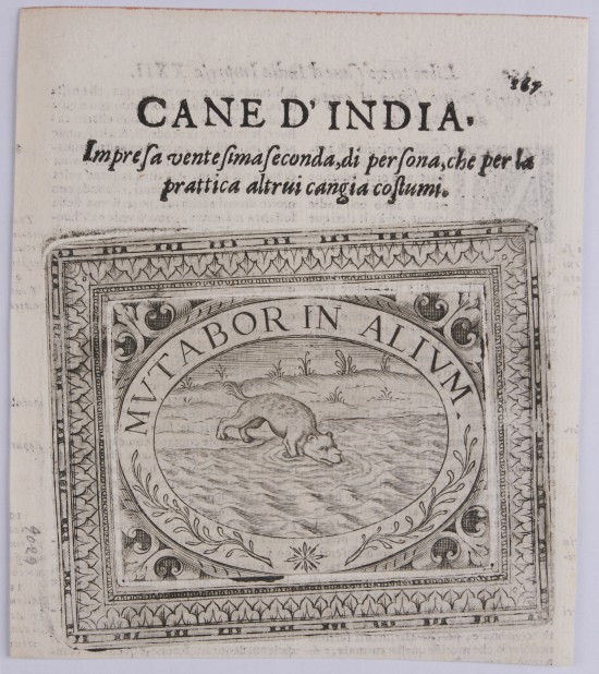 In querrechteckigem, verziertem Rahmen Queroval mit Abbildung eines indischen Hundes.UB09029: Cane d'India aus einer Folge von 23 Sinnbildern in ornamentalem Rahmen