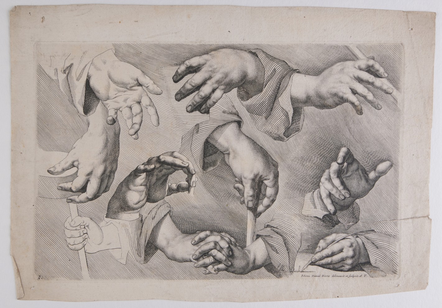 Studie von Händen in verschiedenen Positionen.