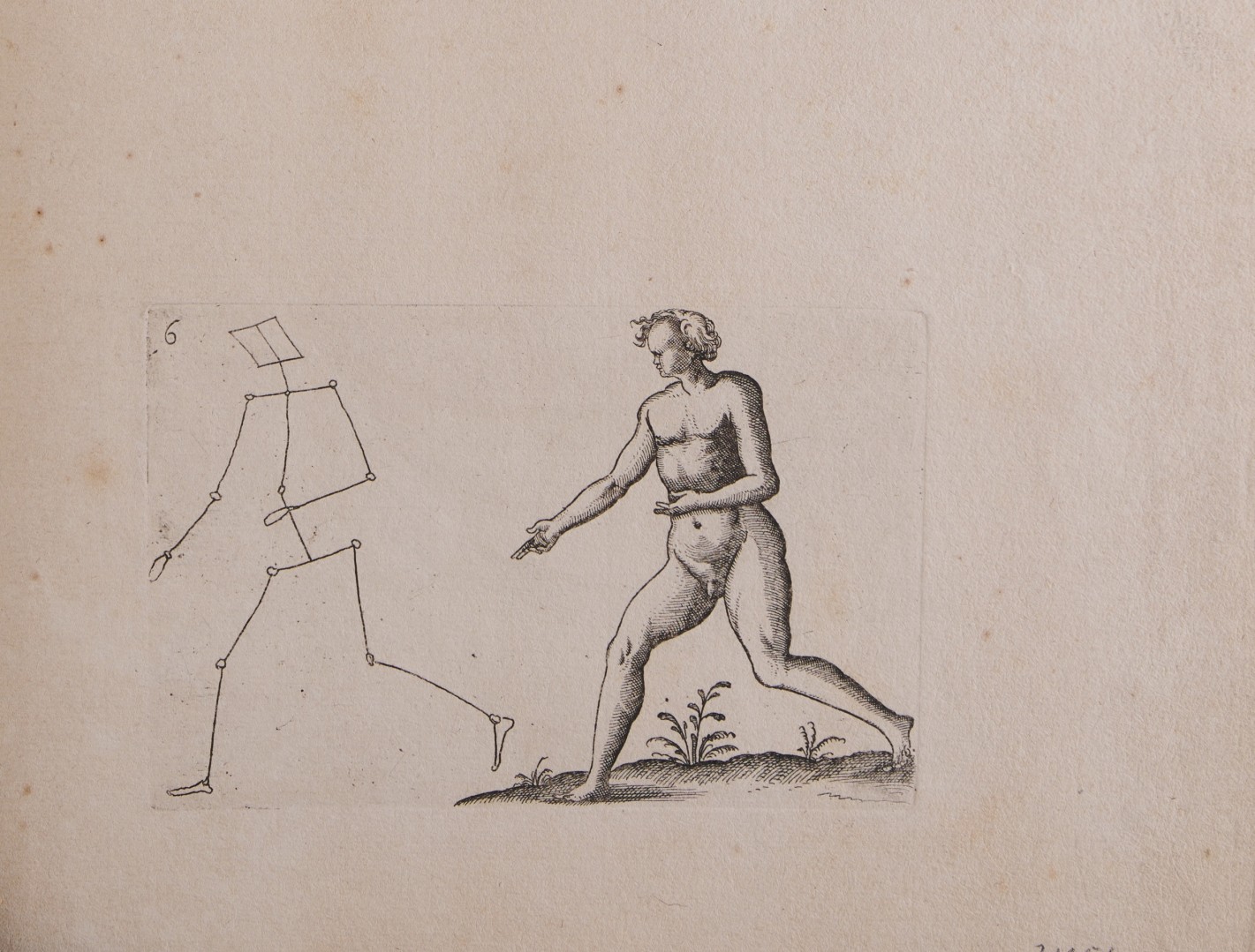 Zeichnung einer männlichen, unbekleideten Figur in Schrittstellung nach links mit vor dem Körper geführten Armen.