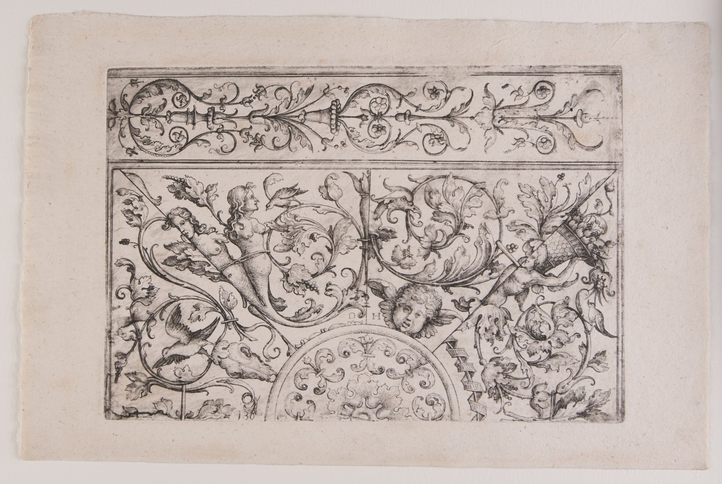 Rankenzier. Vier über ein zentrales Halbkreismotiv fächerformig angeordnete Segmente, darüber eine querverlaufende Hochfüllung mit verschlungenen pflanzlichen Schmuckvariationen.