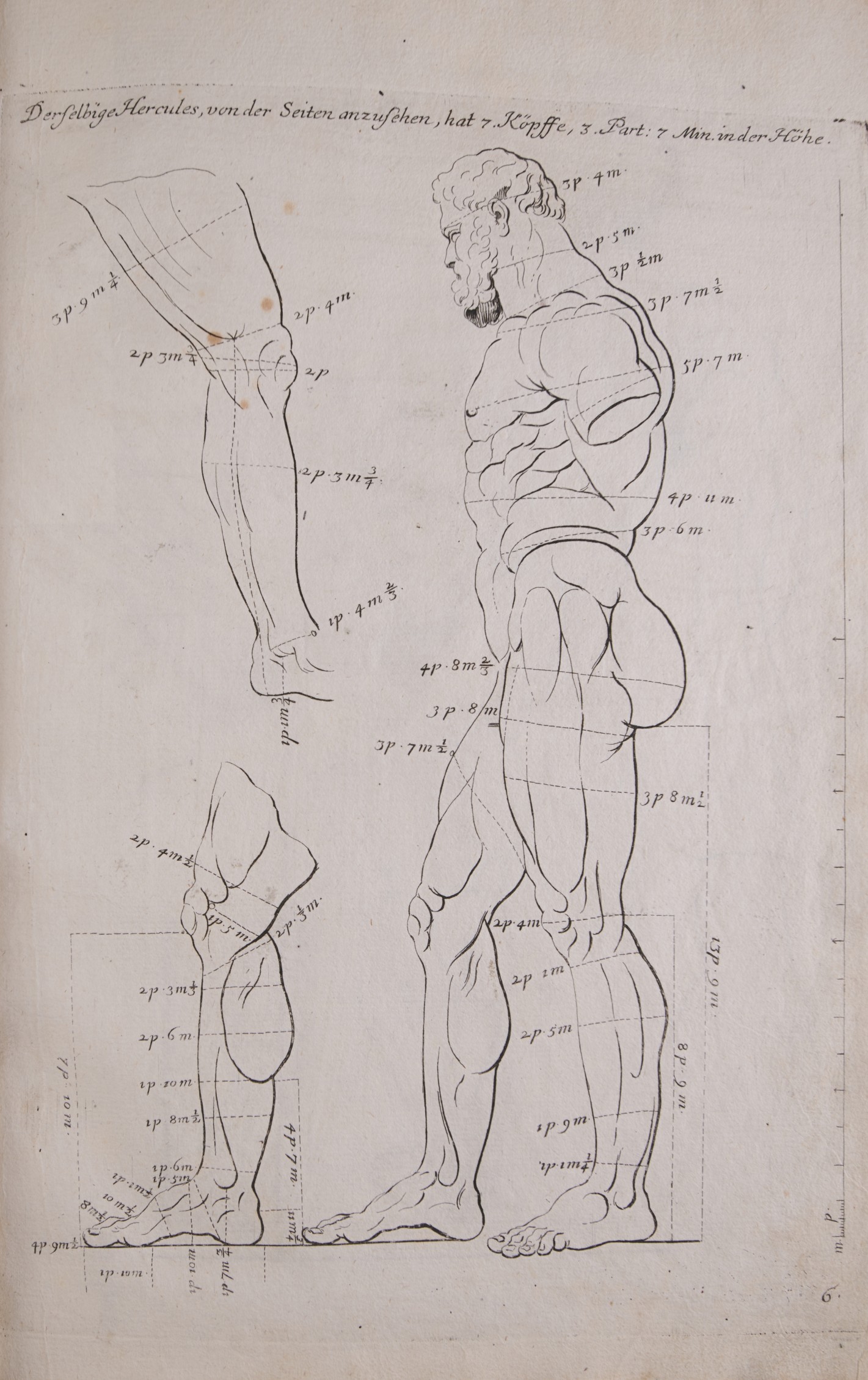 Seitliche Darstellung eines unbekleideten, aufrecht stehenden Mannes mit Maßangaben der einzelnen Körperteile und -abschnitte. Der Arm ist nur angeschnitten dargestellt. Links neben der Figur die angeschnittene Zeichnung zweier Beine nach links und rechts ausgerichtet.