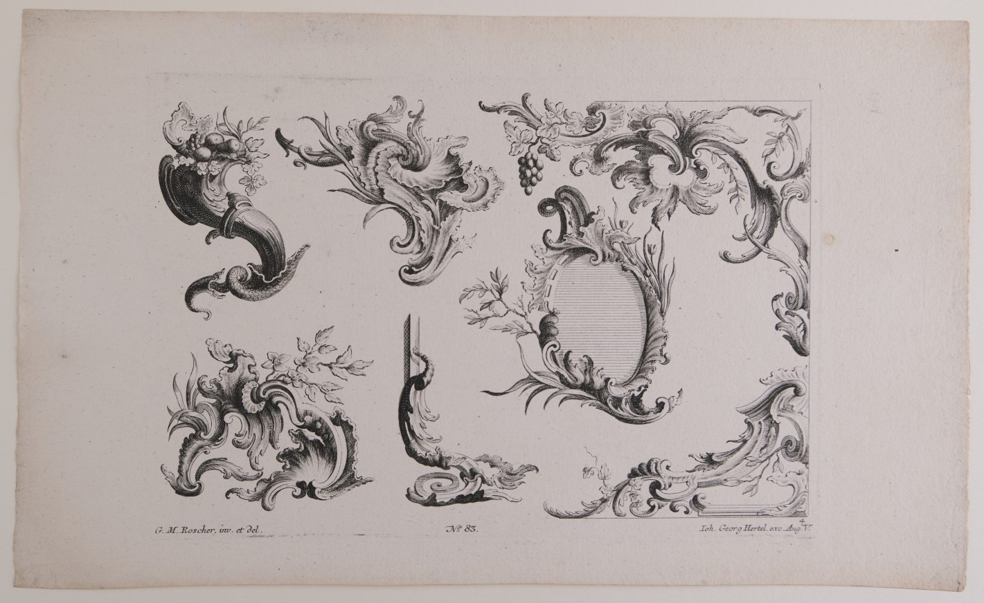 Unterschiedliche Ornament- und Rahmenentwürfe mit verschlungenen Formen, Blättern und muschelartigen Zierelementen.