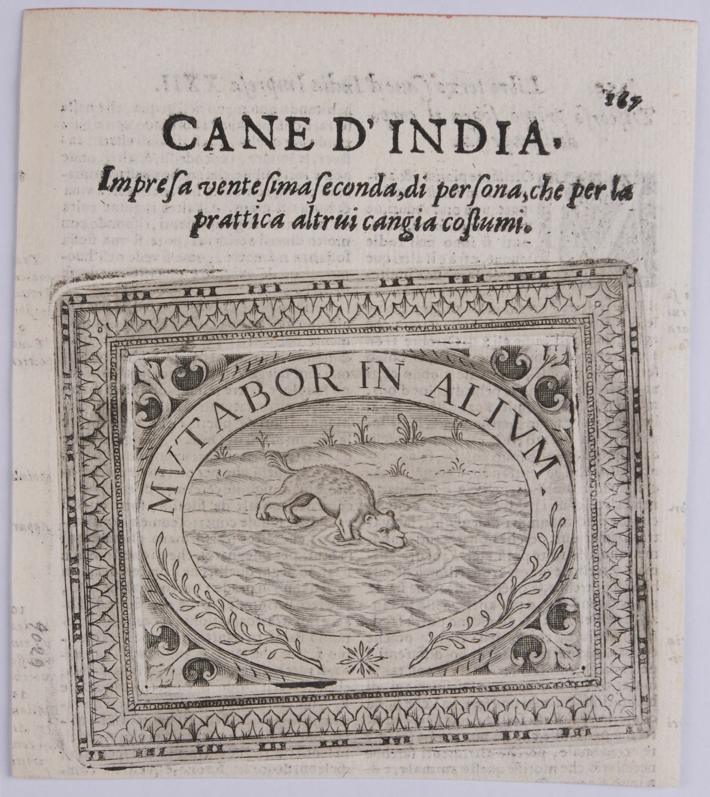 In querrechteckigem, verziertem Rahmen Queroval mit Abbildung eines indischen Hundes.